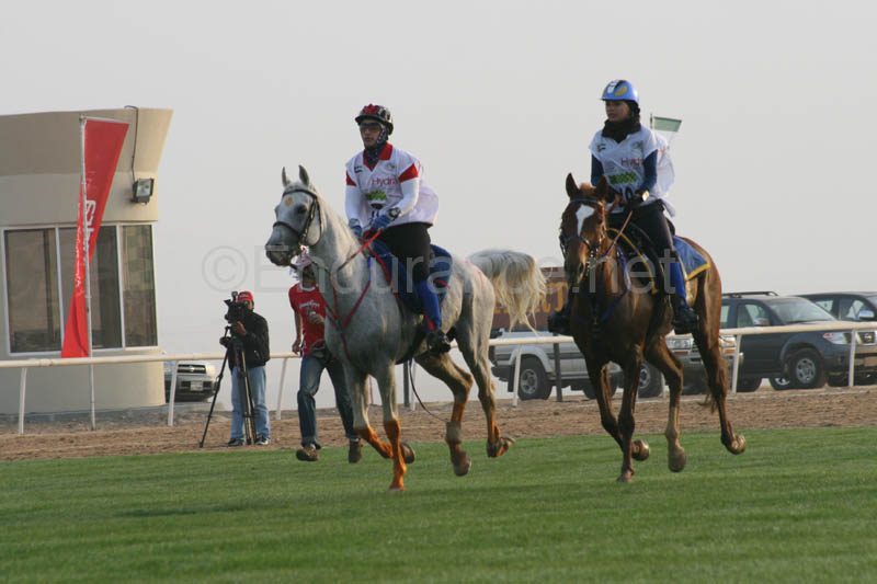 0902PCup_232