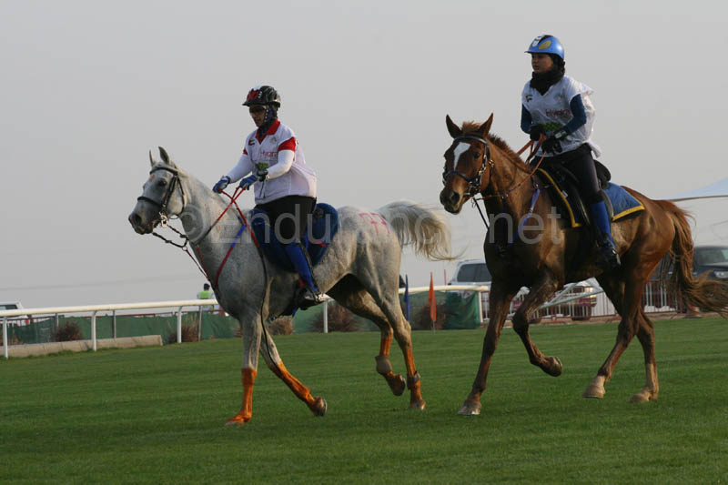 0902PCup_233