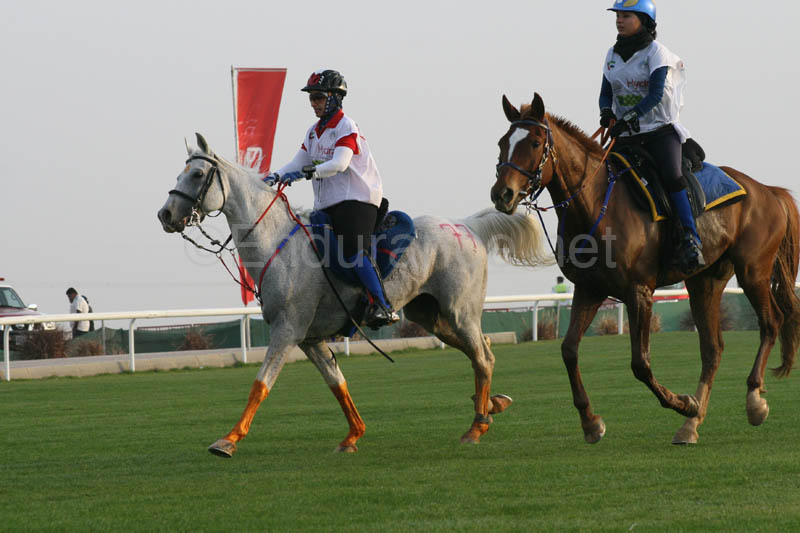 0902PCup_234