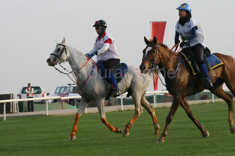 0902PCup_235