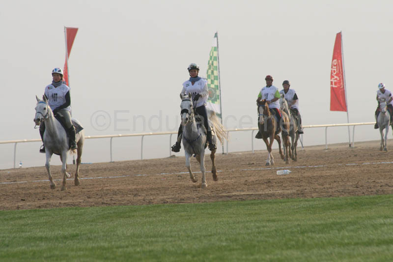 0902PCup_237