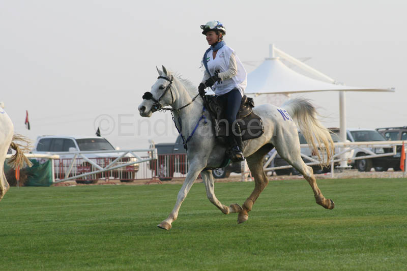 0902PCup_240
