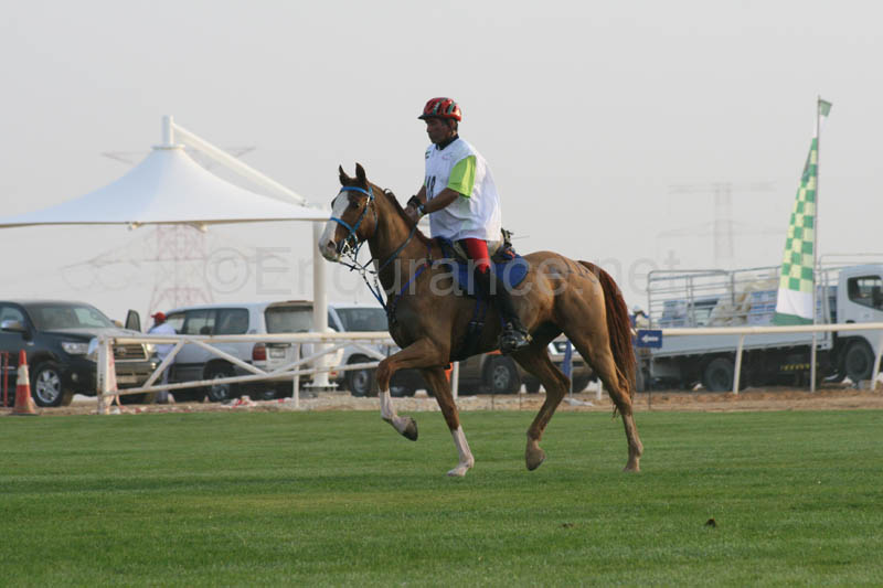 0902PCup_241