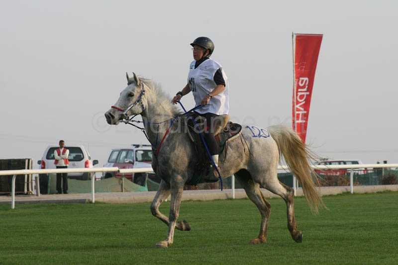 0902PCup_244