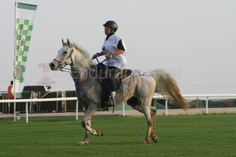 0902PCup_245