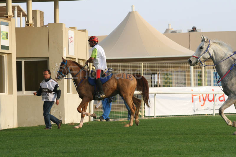 0902PCup_246