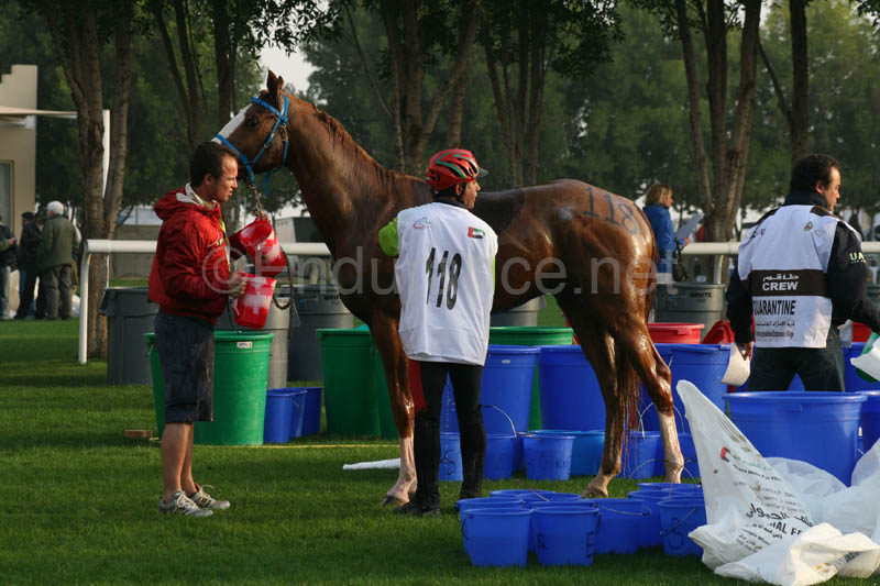 0902PCup_266