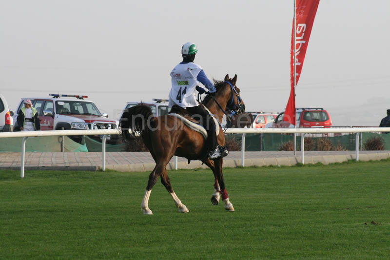 0902PCup_275
