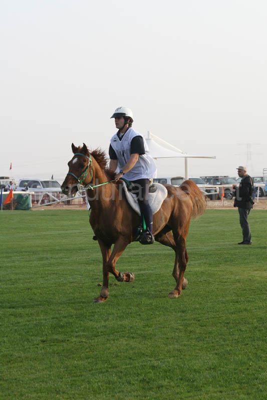 0902PCup_281