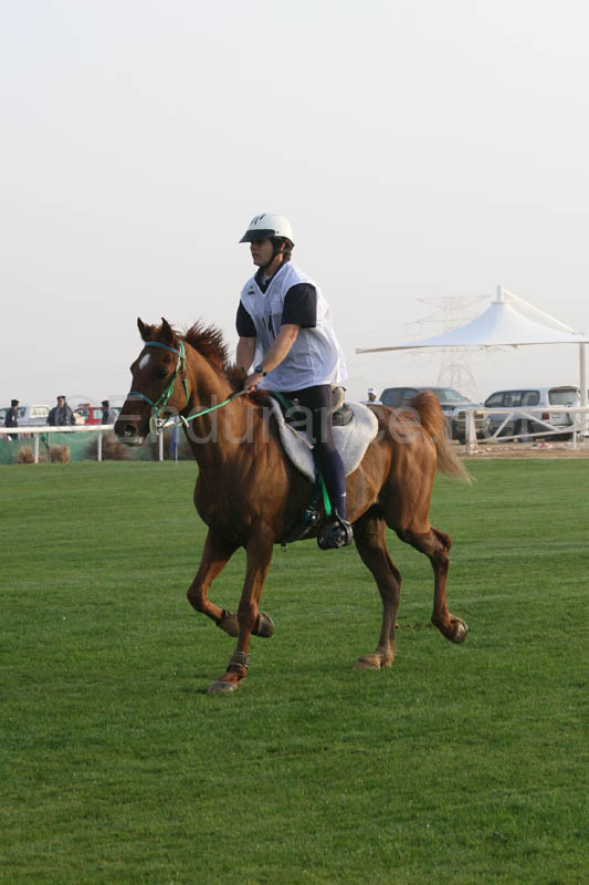 0902PCup_282