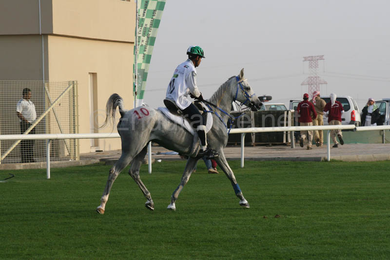 0902PCup_284
