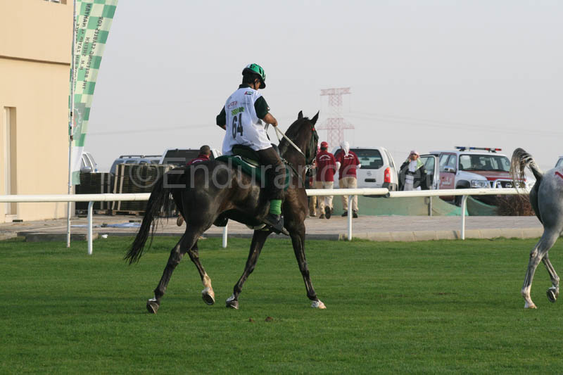 0902PCup_285