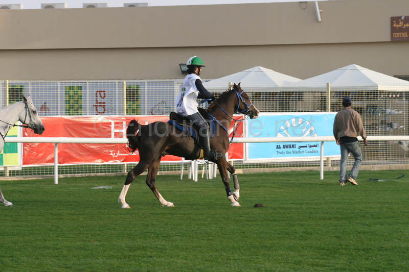 0902PCup_287