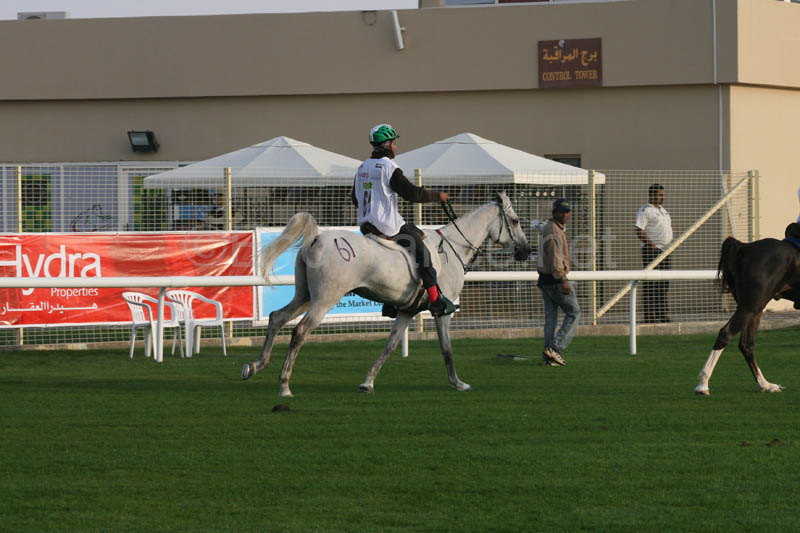 0902PCup_288