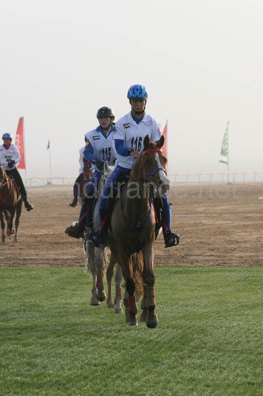 0902PCup_290