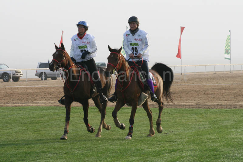 0902PCup_292