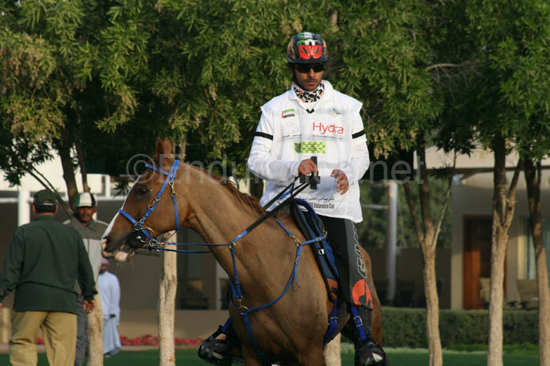 0902PCup_301