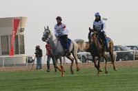 0902PCup_232