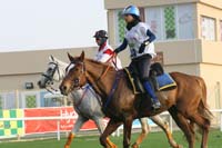 0902PCup_236