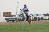0902PCup_238