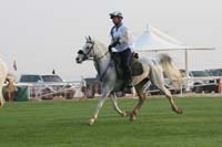 0902PCup_240
