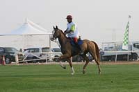 0902PCup_241