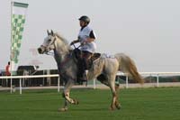 0902PCup_245