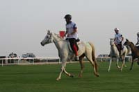 0902PCup_248