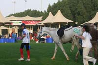 0902PCup_250