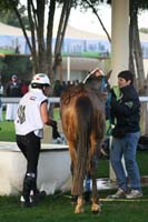 0902PCup_256