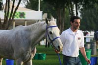 0902PCup_260
