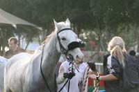 0902PCup_261