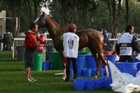 0902PCup_266