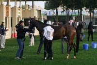 0902PCup_268