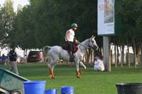 0902PCup_273