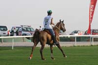 0902PCup_276