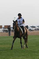0902PCup_277