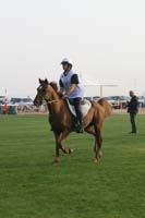 0902PCup_281