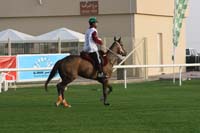 0902PCup_286