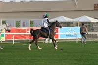 0902PCup_287