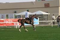 0902PCup_289