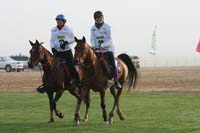 0902PCup_294