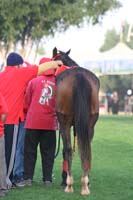 0902PCup_300