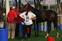 0902PCup_302