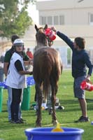 0902PCup_307
