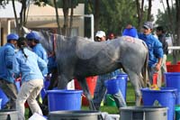 0902PCup_310
