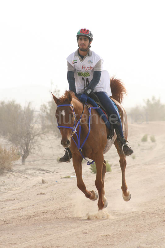 0902PCup_361