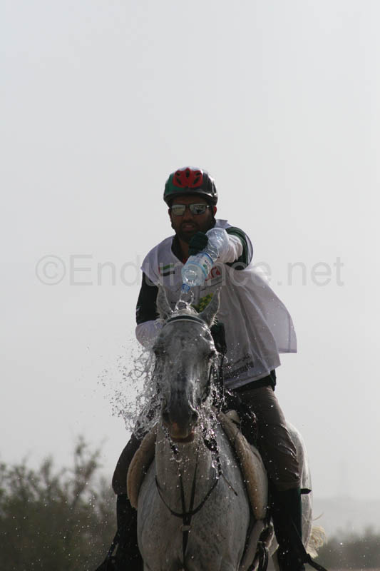 0902PCup_367