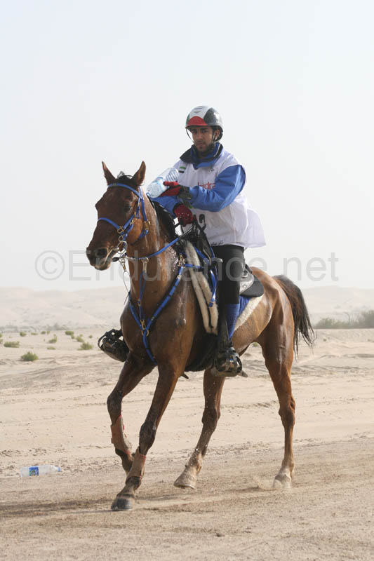0902PCup_377