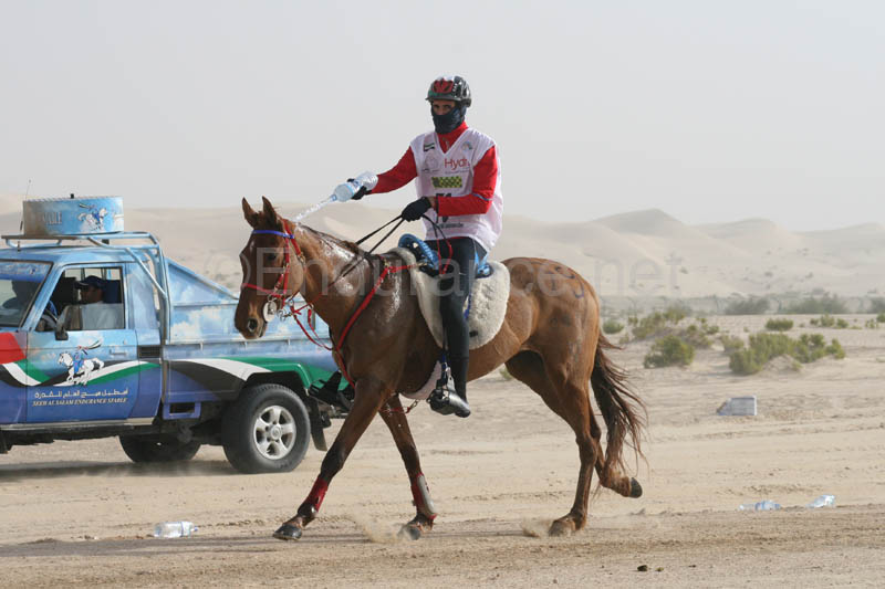 0902PCup_379